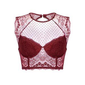 36DD Burgandy Sheer bustier/bra top with soft allover lace